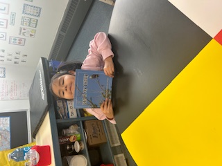 Grade 1/2 classroom learning