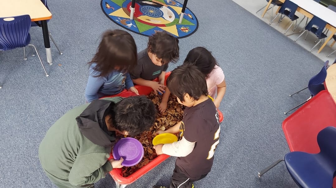 Kindergarten play-based learning